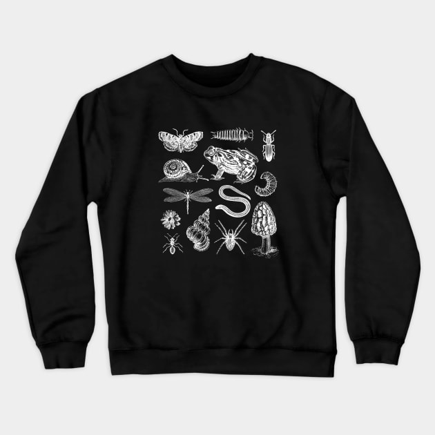 Vintage Goblincore Biology Frogs, Snails, Moths, Mushrooms Crewneck Sweatshirt by Ministry Of Frogs